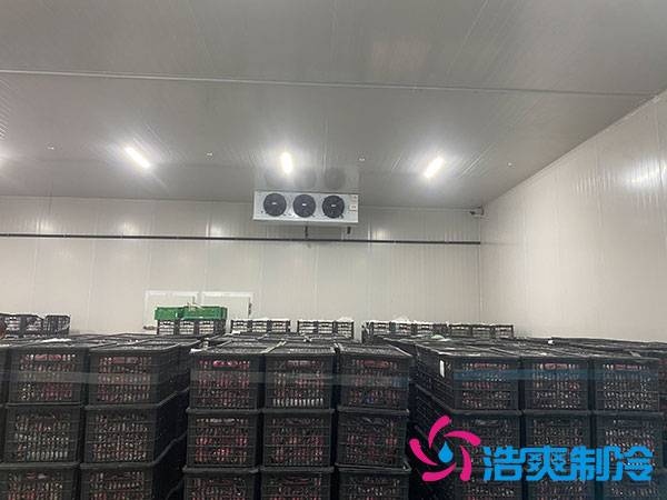 中型菠萝蜜在线观看安装造价多少钱？中型菠萝蜜在线观看造价表-菠萝蜜视频在线免费观看制冷