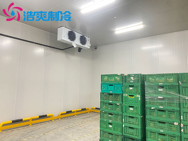 宁波1000平米冷藏库建造大概多少钱？-菠萝蜜视频在线免费观看制冷