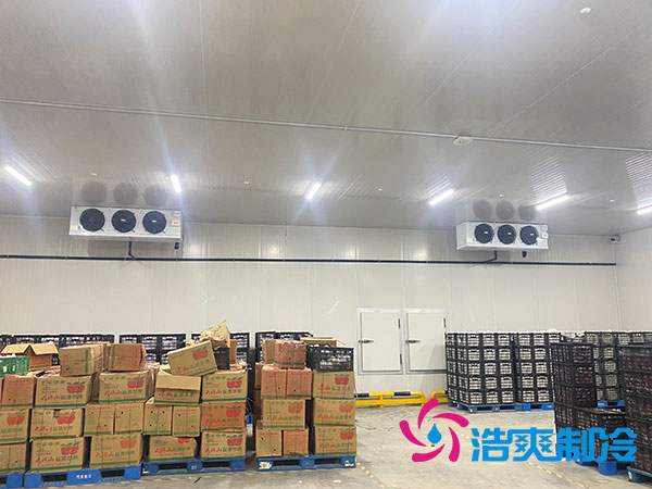 嘉定农产品小型菠萝蜜在线观看预算多少钱？-菠萝蜜视频在线免费观看制冷