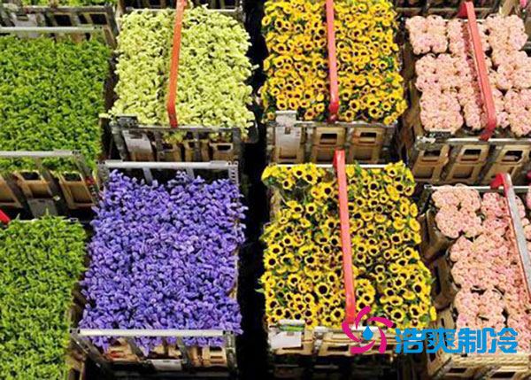 花卉菠萝蜜在线观看安装预算造价多少钱？-菠萝蜜视频在线免费观看制冷