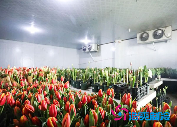 花卉菠萝蜜在线观看安装预算造价多少钱？-菠萝蜜视频在线免费观看制冷