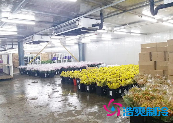 做个鲜花菠萝蜜在线观看要多少钱？-菠萝蜜视频在线免费观看制冷