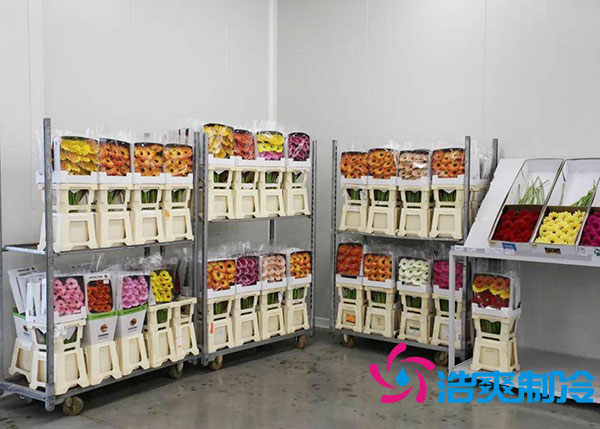 鲜花菠萝蜜在线观看多少钱一平方？-菠萝蜜视频在线免费观看制冷