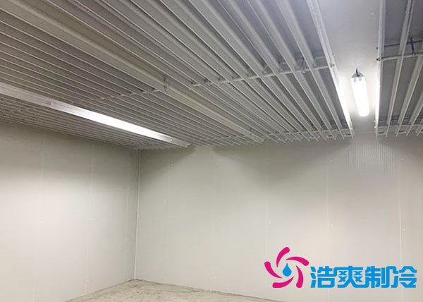 冰淇淋菠萝蜜在线观看建造 冰淇淋菠萝蜜在线观看建造