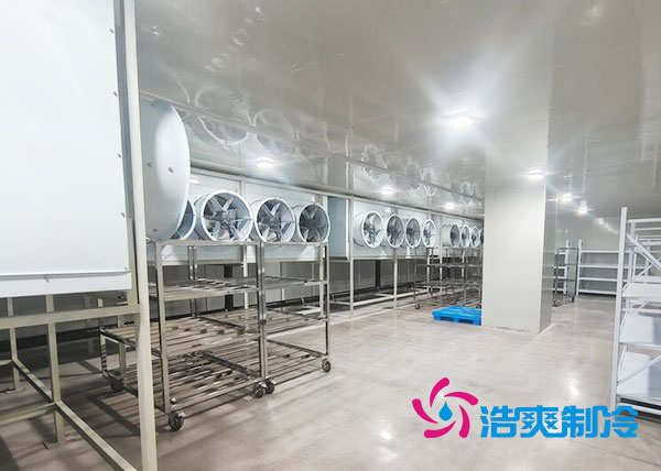 速冻隧道菠萝蜜在线观看安装费用 速冻隧道菠萝蜜在线观看安装费用