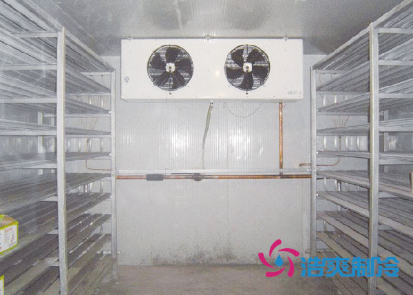 厨房菠萝蜜在线观看建造施工方案