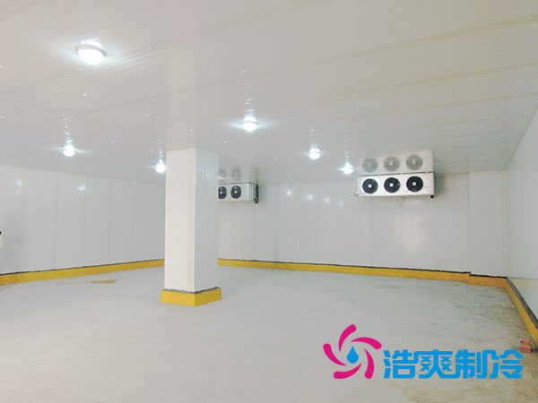 气调菠萝蜜在线观看安装价格