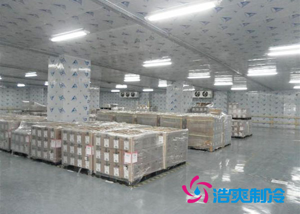 冷藏菠萝蜜在线观看多少钱