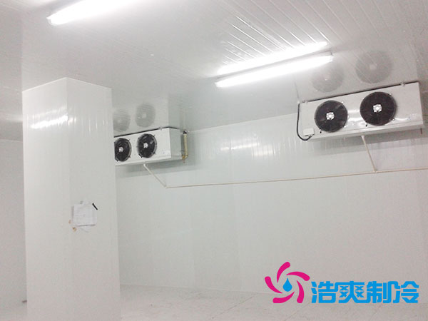 珠海雪糕菠萝蜜在线观看安装哪里买？-菠萝蜜视频在线免费观看制冷