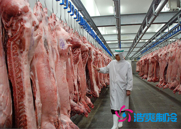 肉类速冻库建造多大合适？-菠萝蜜视频在线免费观看制冷