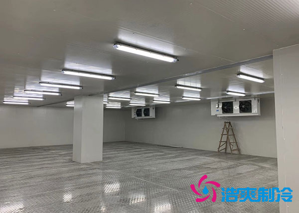 山东菠萝蜜在线观看建设价格预算多少钱？-菠萝蜜视频在线免费观看制冷