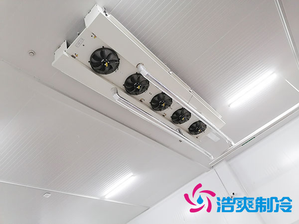 湘潭速冻食品菠萝蜜在线观看建设多少钱一平方？-菠萝蜜视频在线免费观看制冷