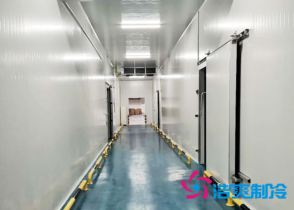 郴州速冻食品菠萝蜜在线观看造价多少钱一平方？-菠萝蜜视频在线免费观看制冷