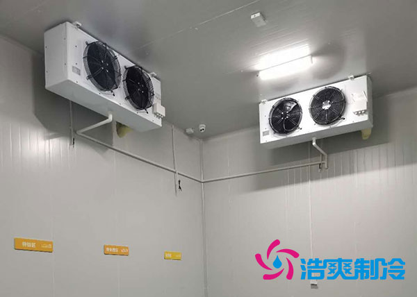 衡阳大型水果菠萝蜜在线观看造价多少钱一平方？-菠萝蜜视频在线免费观看制冷