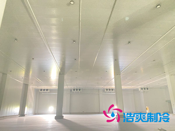 江西低温食品菠萝蜜在线观看建造公司-菠萝蜜视频在线免费观看制冷