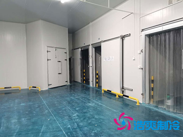 3000平果蔬市场菠萝蜜在线观看设计方案及造价成本核算标准-菠萝蜜视频在线免费观看制冷