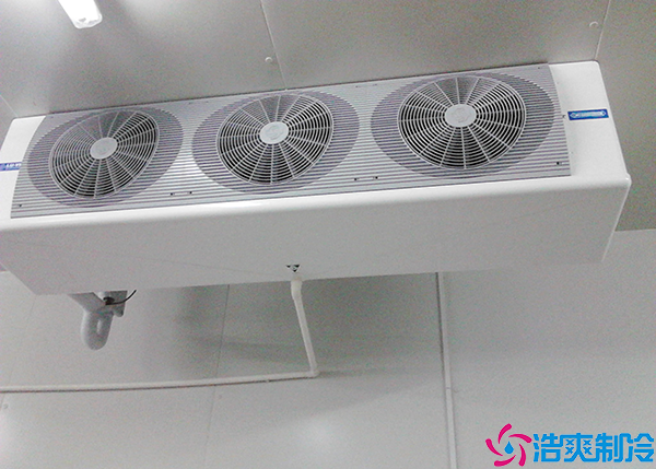 低温车间菠萝蜜在线观看.