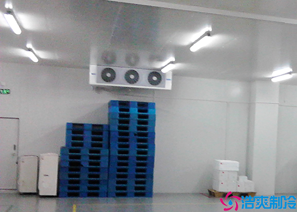 水果保鲜菠萝蜜在线观看