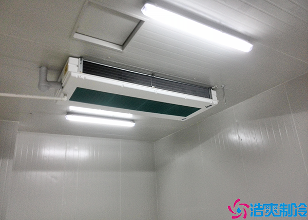 气调菠萝蜜在线观看