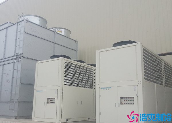 生鲜菠萝蜜在线观看