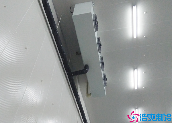 气调菠萝蜜在线观看