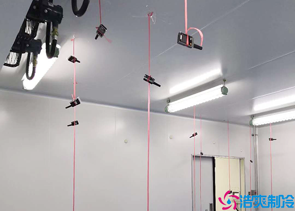 食品菠萝蜜在线观看