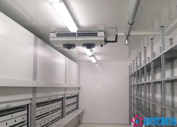 水果保鲜菠萝蜜在线观看