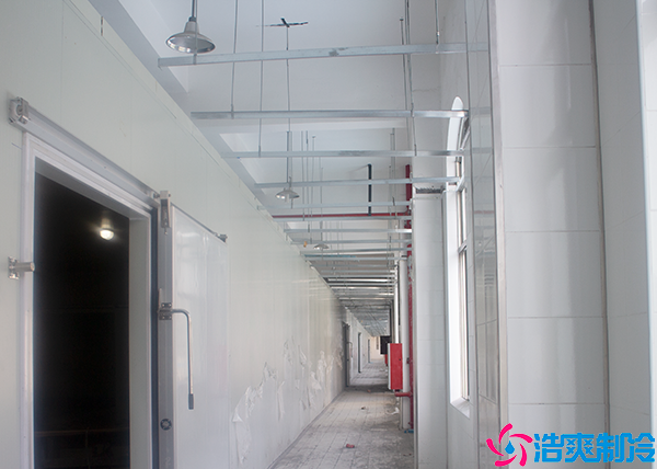 菠萝蜜在线观看安装