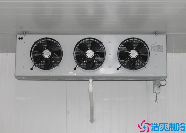 双温菠萝蜜在线观看