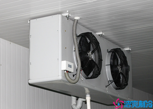 超市菠萝蜜在线观看