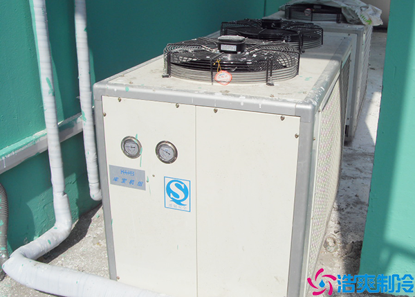 保鲜菠萝蜜在线观看