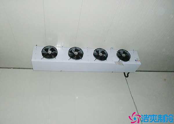 低温食品菠萝蜜在线观看