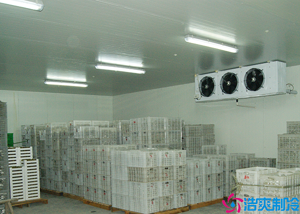 气调菠萝蜜在线观看