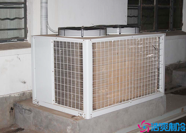 排酸菠萝蜜在线观看