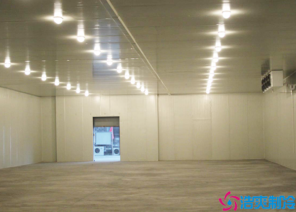 保鲜水果菠萝蜜在线观看