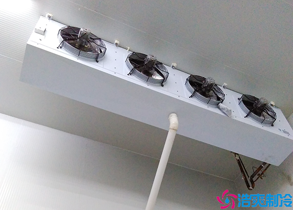 排酸菠萝蜜在线观看