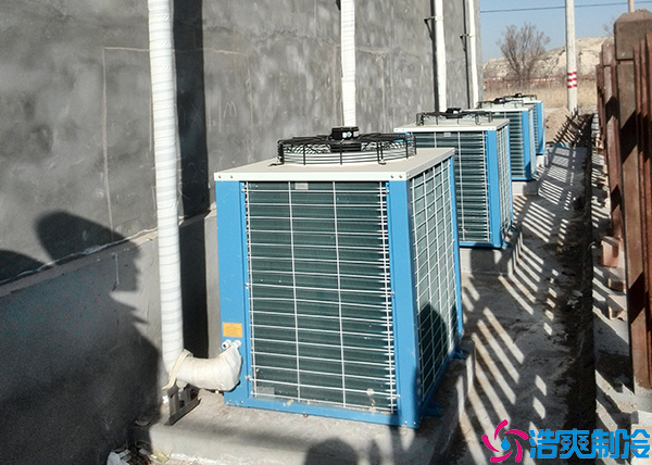 组合式菠萝蜜在线观看