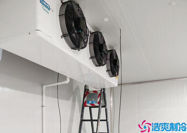 水产菠萝蜜在线观看