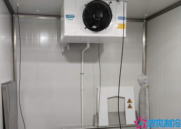 水产菠萝蜜在线观看