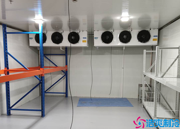 菠萝蜜在线观看