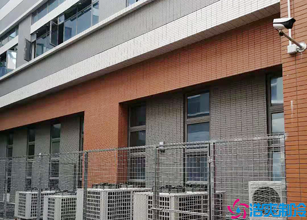 保鲜菠萝蜜在线观看