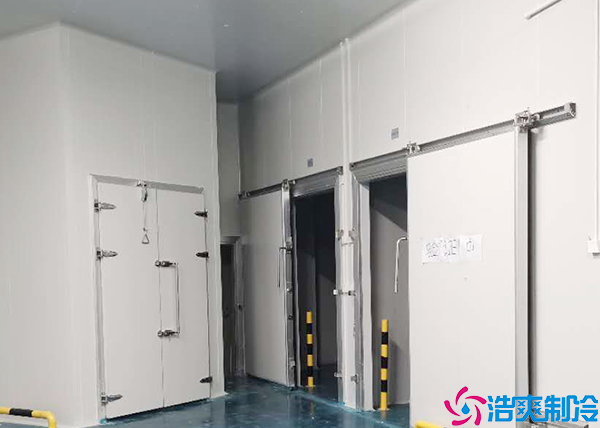 单温菠萝蜜在线观看