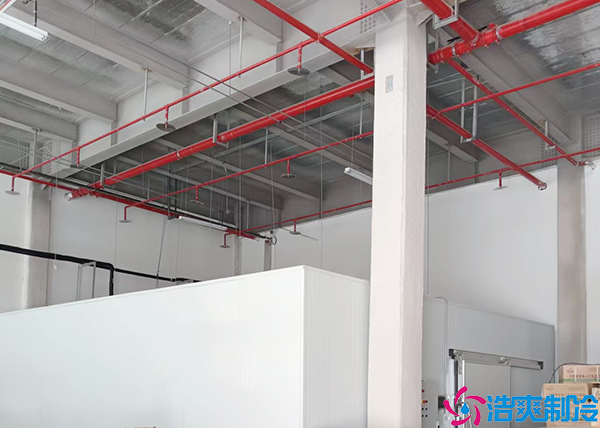 保鲜菠萝蜜在线观看