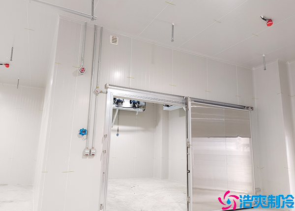 保鲜菠萝蜜在线观看