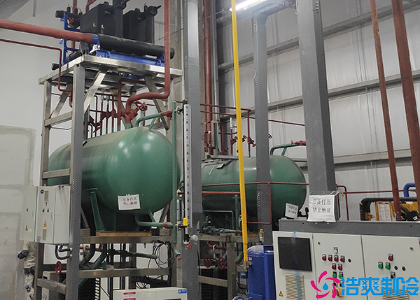 双温菠萝蜜在线观看