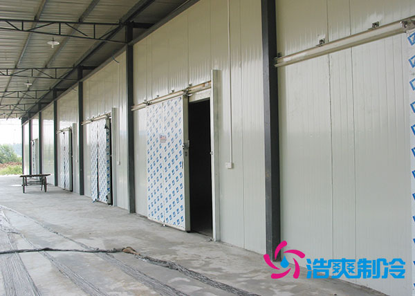 两千吨菠萝蜜在线观看投资成本多少钱合适？大概需要多少面积？-菠萝蜜视频在线免费观看制冷