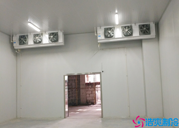 菠萝蜜在线观看