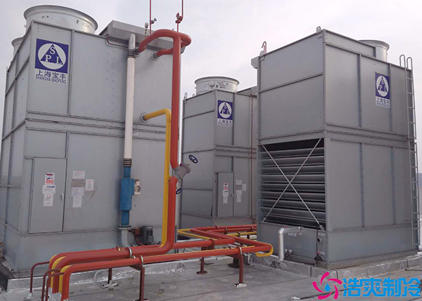 排酸菠萝蜜在线观看