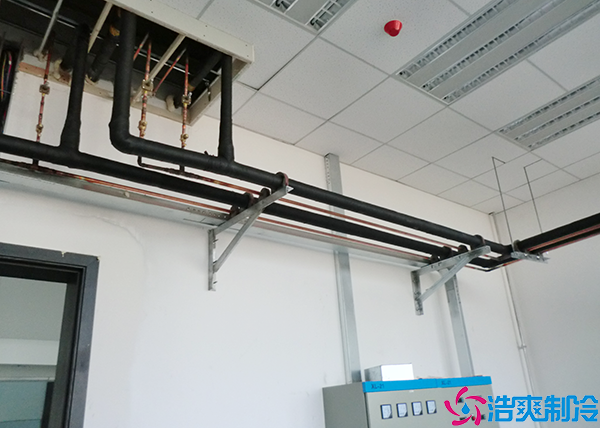 食品菠萝蜜在线观看