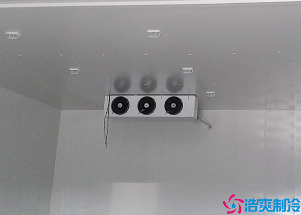 食品菠萝蜜在线观看